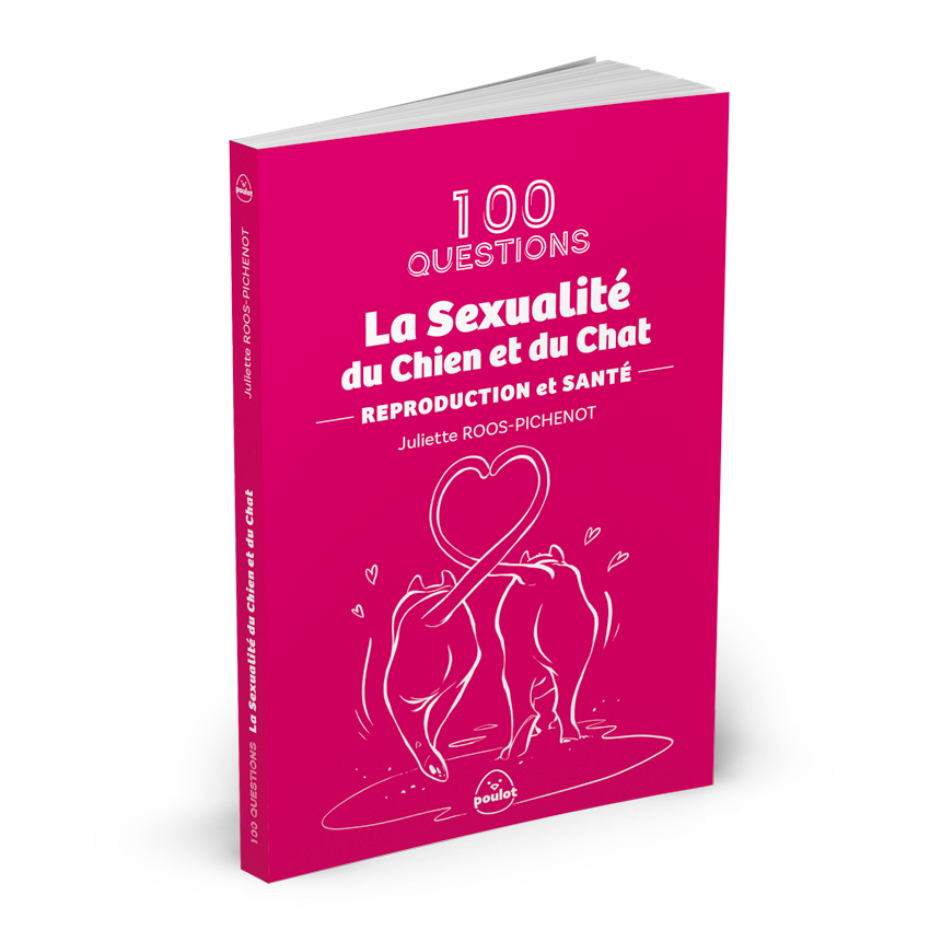 pouloteditions.com
